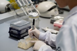 Chamada Projeto Inicial da FAPESP divulga trabalhos contemplados