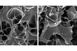 ‘Andamio’ de grafeno recluta células óseas y ayuda al organismo a regenerar fracturas