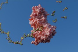 Mecanismo de enzimas abre caminho para tecnologias mais eficientes em bioenergia