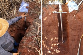 Brasil perdió 1,4 mil millones de toneladas de carbono del suelo por la conversión de áreas naturales a la agricultura