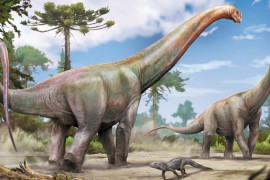 Nuevo dinosaurio de cuello largo encontrado en Maranhão era pariente cercano de una especie europea
