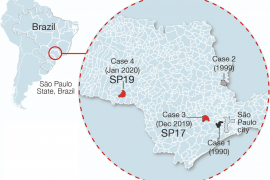 El virus Sabiá circula en Brasil desde hace 142 años y está modificándose, señala un estudio