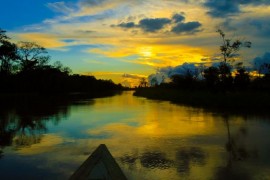 Researchers map initiatives in the Amazon that inspire the future of innovation