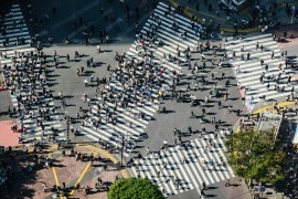FAPESP participa de nova chamada da Plataforma Transatlântica