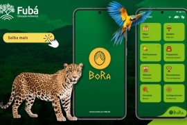 Aplicativo de startup apoiada pelo PIPE é premiado pela Embratur