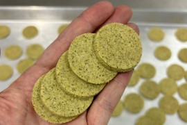 Farinha de alga marrom eleva valor nutritivo e digestibilidade de biscoitos sem glúten