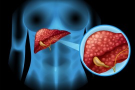 Estudo detalha como o organismo se adapta a dietas com muita proteína e nenhum carboidrato