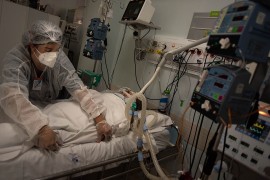 Cientistas propõem medidas para conter avanço de fungos resistentes a medicamentos