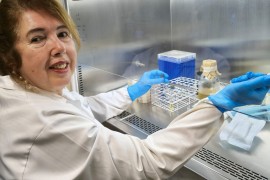 New antiseptic capable of eliminating 99.9% of <i>Candida parapsilosis</i> cells
