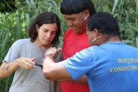 Terra indígena mantém estabilidade ecológica em meio à expansão agropecuária no Cerrado