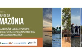 Iniciativa Amazônia+10 lança chamada para fortalecer cadeias da sociobioeconomia na Amazônia