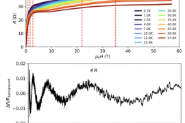 Anomalous quantum oscillations reveal new physics in a topological insulator