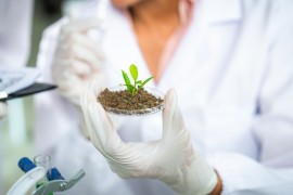 El capital natural puede ser un diferencial competitivo para las <i>startups</i> de América Latina