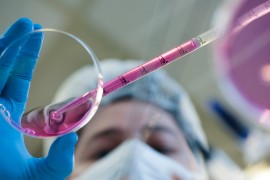 FAPESP anuncia cinco novos CEPIDs