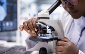FAPESP launches call to attract young investigators from abroad