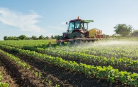 Natural extract improves weed control in crops