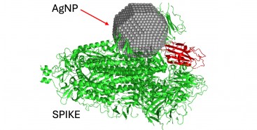 Nanopartículas de prata produzidas por fungo podem ser usadas na prevenção e no tratamento da COVID-19