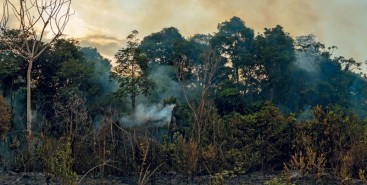Brasil pode enfrentar uma elevação de 4 °C a 4,5 °C em relação à temperatura pré-industrial, diz Paulo Artaxo