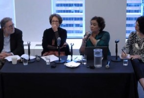FAPESP reúne especialistas para debater a Amazônia na Cúpula de Ciências da 78ª Assembleia Geral da ONU