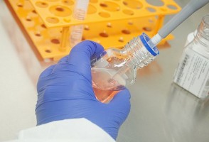 FAPESP lança chamada com Institut Pasteur e USP