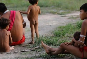 Científicos reclaman acciones urgentes para hacer frente a la crisis nutricional del pueblo Yanomami