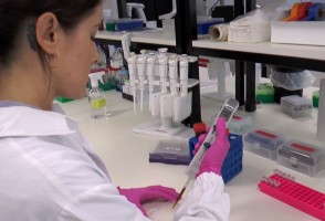 Produção científica brasileira cai pelo segundo ano consecutivo