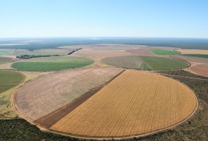 El uso excesivo del agua en un área de Brasil puede comprometer un 40 % de la demanda agrícola de riego