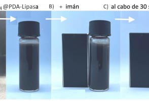 Retiran micro y nanoplásticos del agua aplicando un método de bajo costo