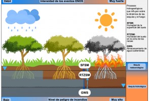 El Niño agrava el impacto de las sequías y el riesgo de incendios en aguas subterráneas de la Amazonia