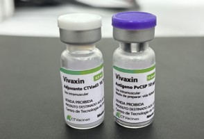 Solicitan la patente de la vacuna contra el paludismo <i>vivax</i> desarrollada en la Universidad de São Paulo