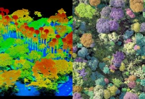 Drones agilizan la realización de un inventario forestal