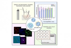 Study evaluates the use of magnetic carbon nanotubes in biomedical applications