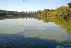 Study reconstructs a century of pollution in the city of São Paulo (Brazil) using aquatic sediments