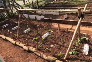 São Paulo startup bets on regenerative agriculture