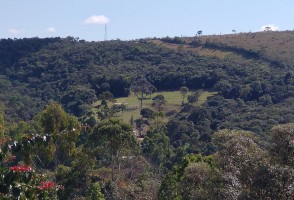 Ferramenta identifica áreas ecologicamente equivalentes para orientar projetos de restauração