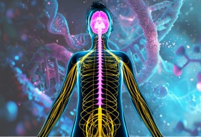 Descoberto mecanismo molecular que pode auxiliar no tratamento da doença de Huntington