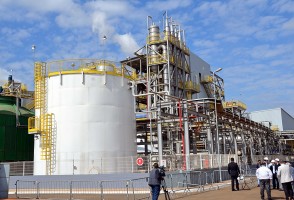 Solução poderá reduzir perdas por contaminação na produção de etanol