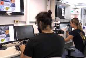 Iniciativa da FAPESP busca combater a evasão no ensino superior e estimular a participação em pesquisa