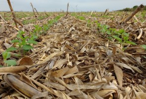 Study assesses how sustainable agricultural management practices in the Americas help sequester CO2