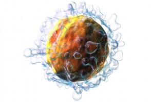 Modification makes immunotherapy for blood cancer even more effective