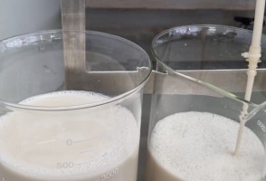 Biotech develops technology to produce milk proteins without cows