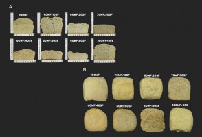 Reaproveitamento da farinha de sementes de girassol viabiliza pão mais proteico e rico em antioxidantes