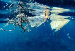 Dossiê da UFSCar aborda impacto da ocupação desordenada das praias brasileiras