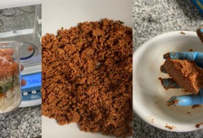 Investigadores desarrollan “carne vegana” a base de harina de girasol