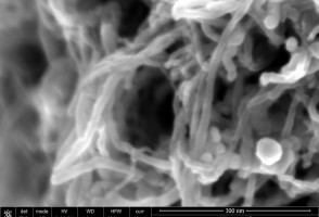 Rota eletroquímica permite sintetizar fulerenos gigantes com custo e impacto ambiental menores