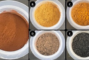 Scientists are seeking patent for ‘green’ method to treat main waste product from the paper industry