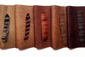 La biodiversidad brasileña da origen a nuevos materiales textiles