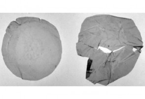 Investigadores brasileños identifican una bacteria capaz de transformar residuos plásticos en bioplástico