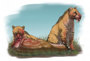 Reduction in supply of prey was decisive factor in extinction of saber-toothed tigers, study finds