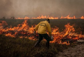 Amazon degradation increases by 163% in two years, while deforestation falls by 54% in the same period